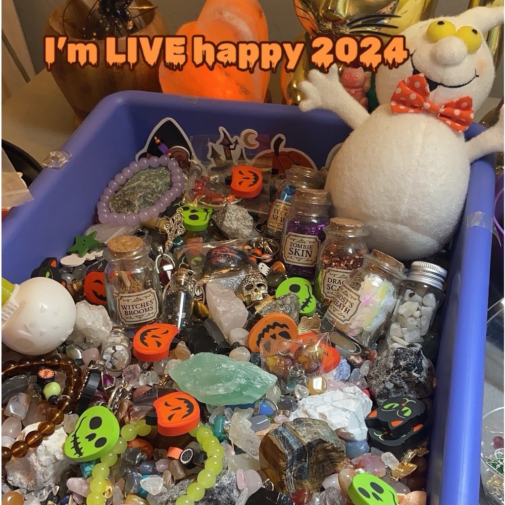 ‼️Halloween grab bag 🎃 2024 mystery box.📦 charms stones quartz jewelry